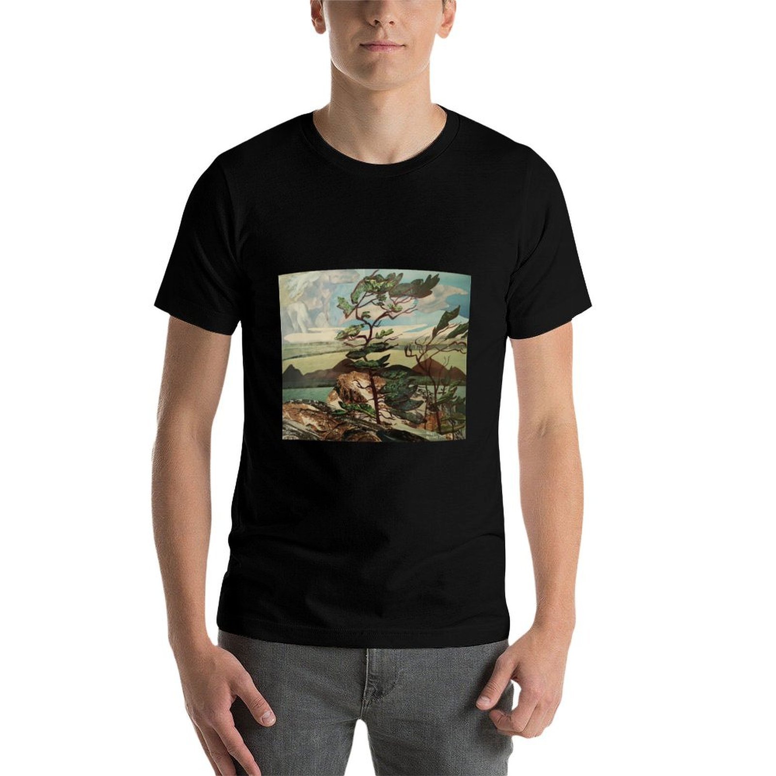 Landscape, Group of Seven, Whi - Outdoor Sportsman Group review and price