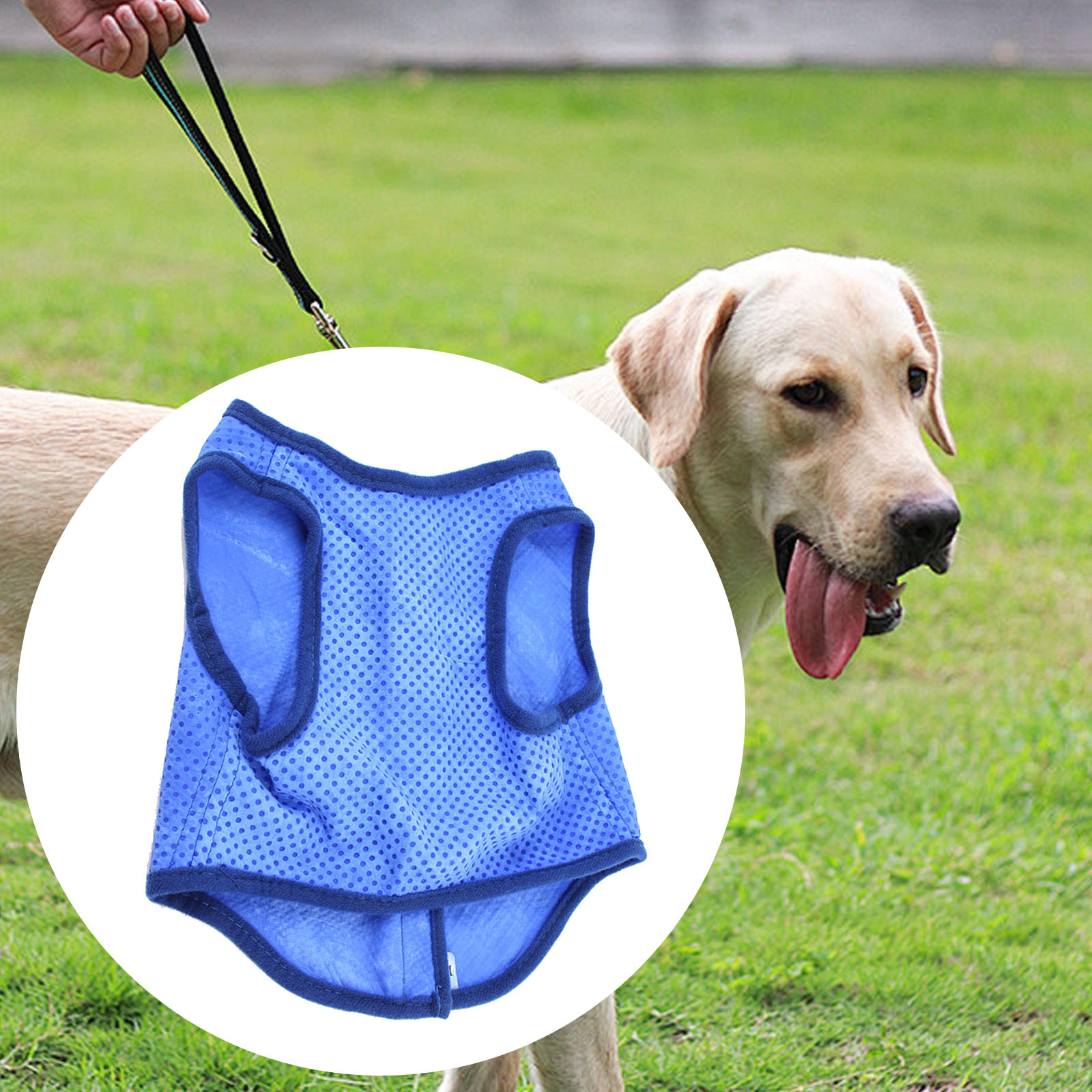 Dog Cooling Vest Breathable Su - Outdoor Sport Coat review and price