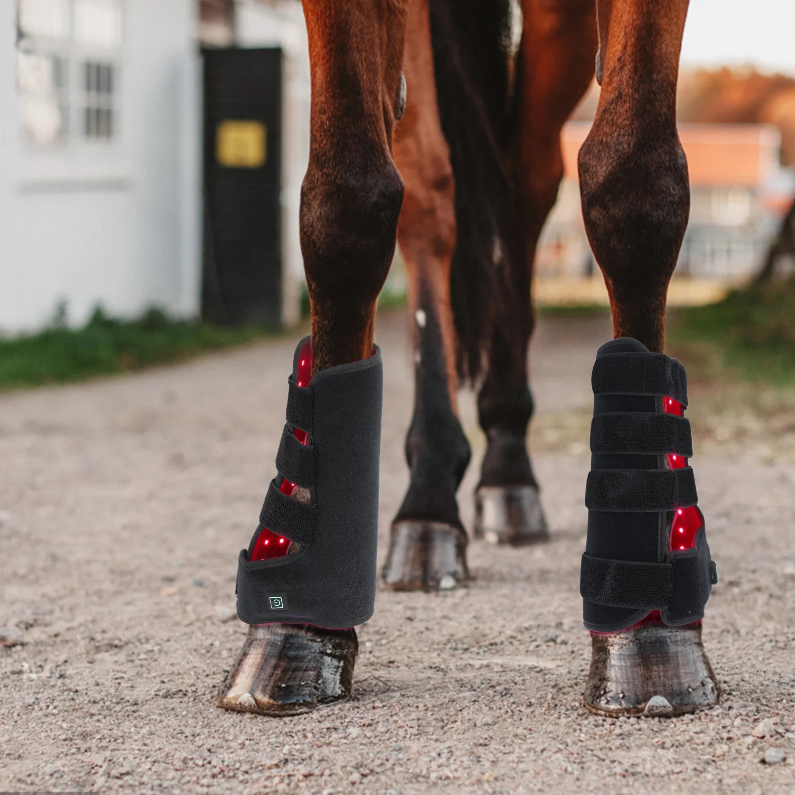New 660nm 850nm Red light ther - Brushing Boot Horse review and price