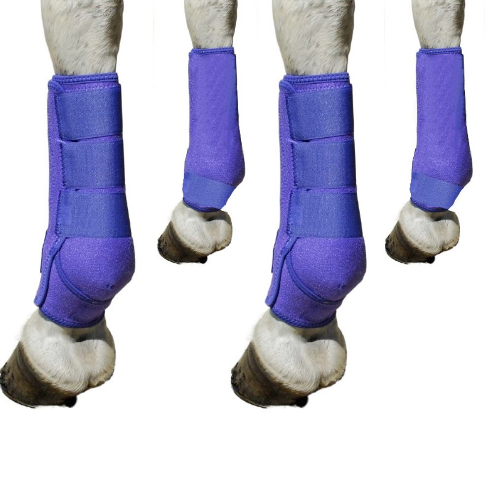 4pcs/set Colorful Horse Sport  - Brushing Boot Horse review and price