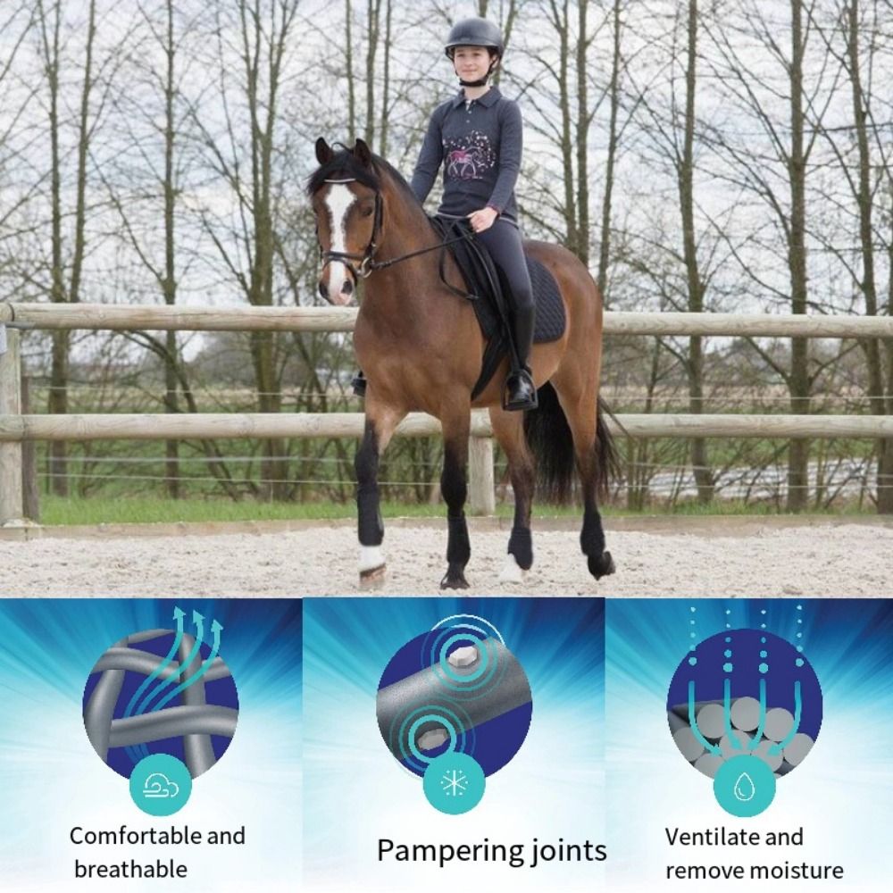 4pcs/set Colorful Horse Sport  - Brushing Boot Horse review and price